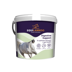 Digestive Support