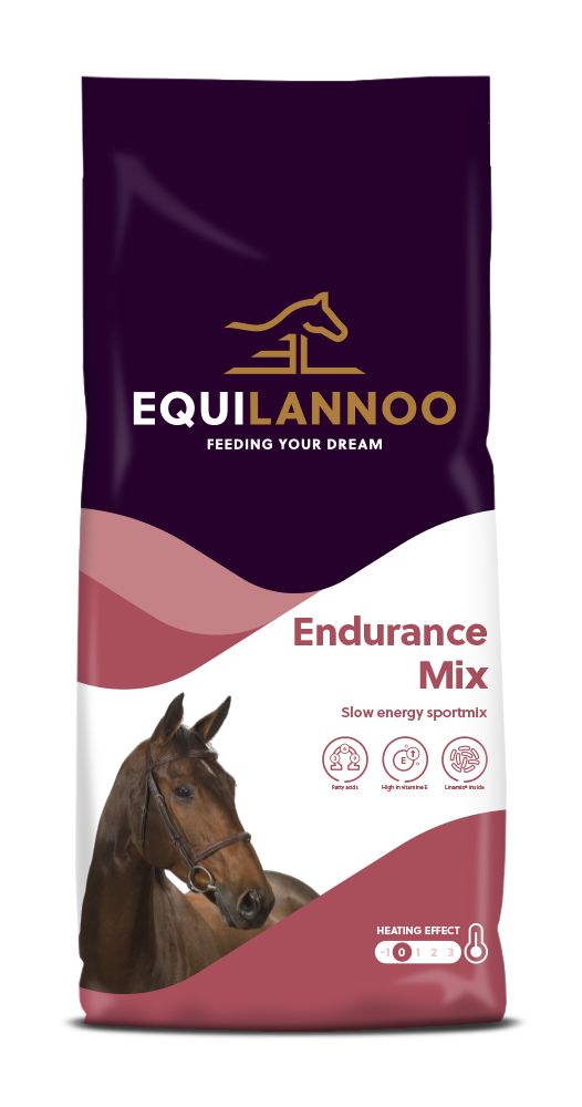 Endurance Mix