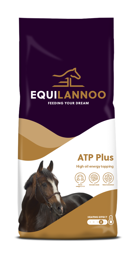 ATP Plus