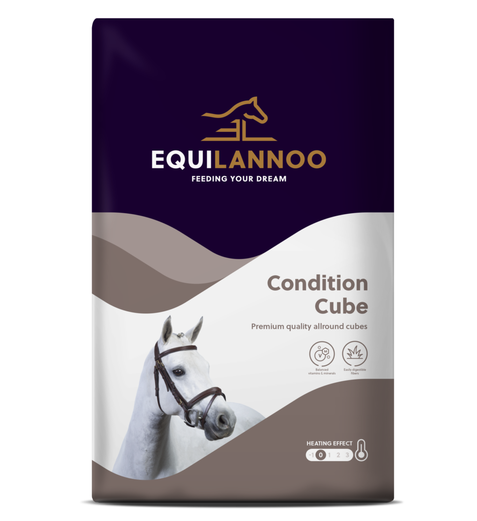 Condition Cube- Full