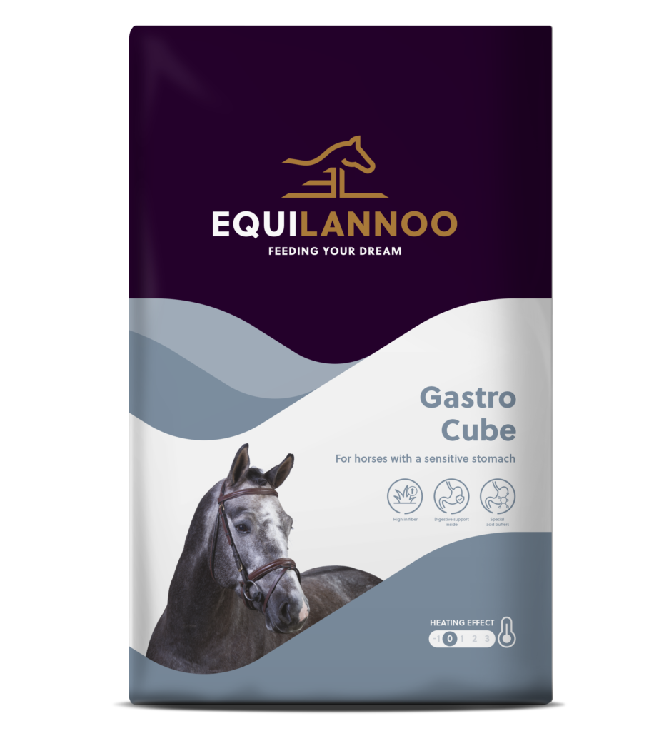 Gastro Cube