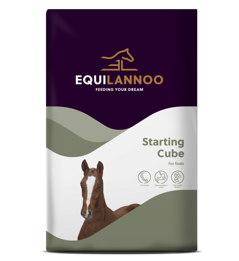 Starting Cube