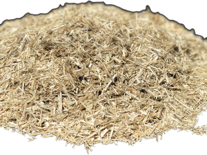 Pure Green Flax Sample